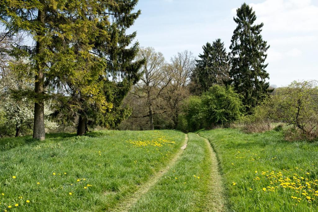 Entre Nous Hotel Rozoy-sur-Serre Eksteriør billede